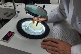 식품미생물학및실습