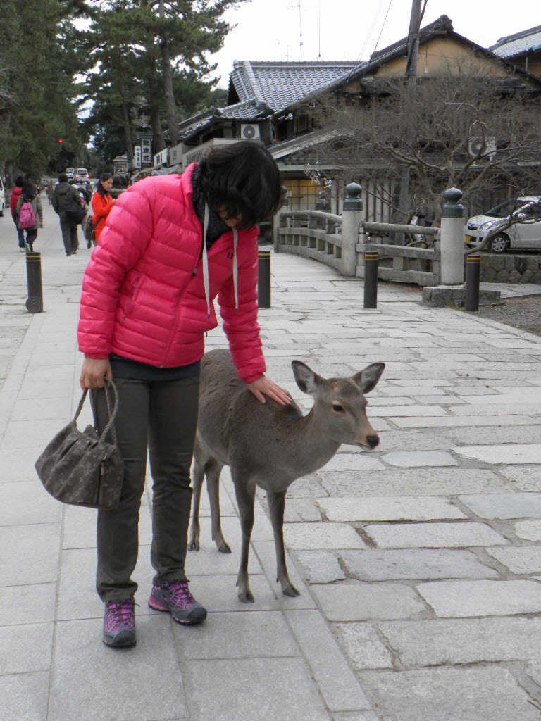 사슴공원사슴과함께.JPG