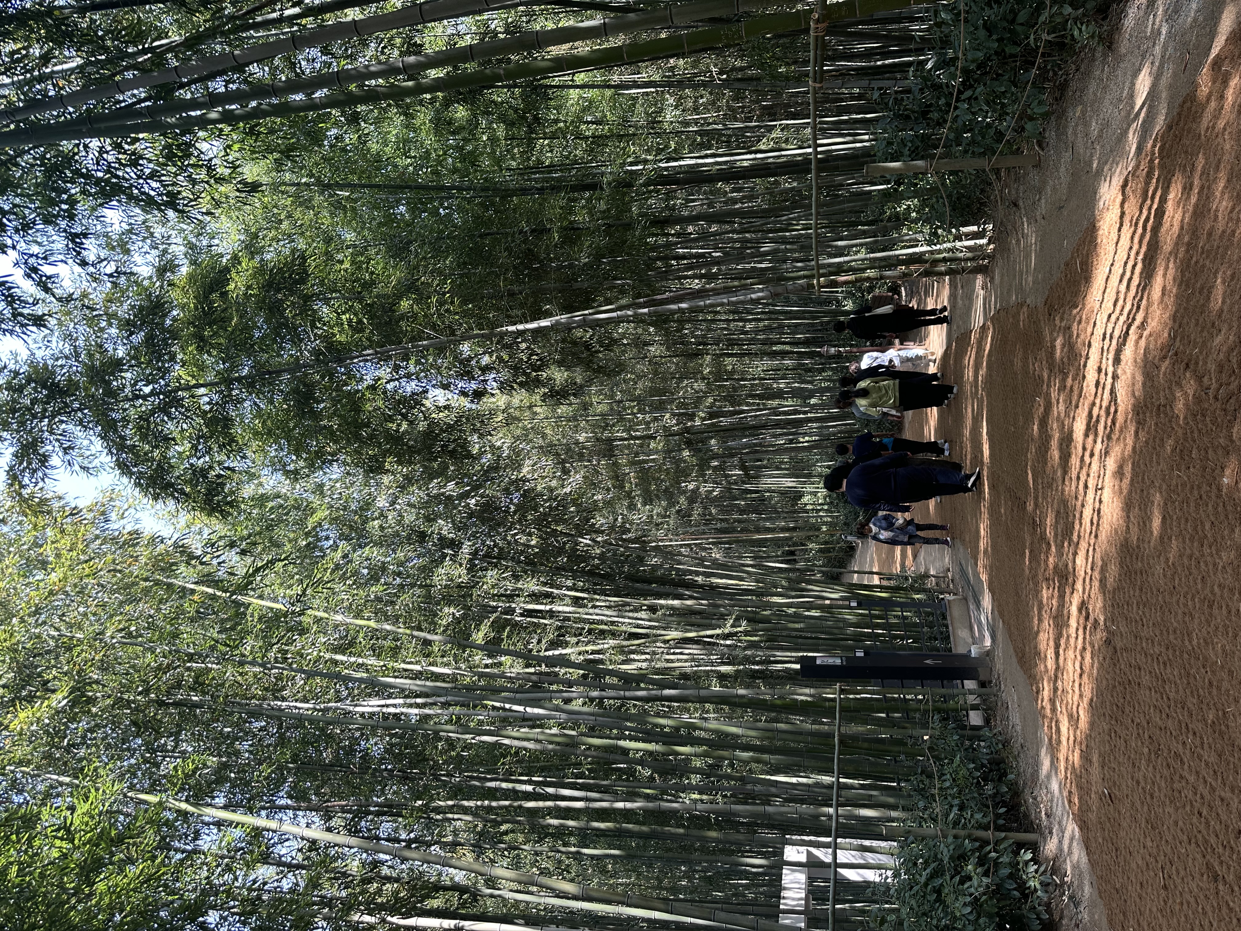 죽녹원 탐방.jpg