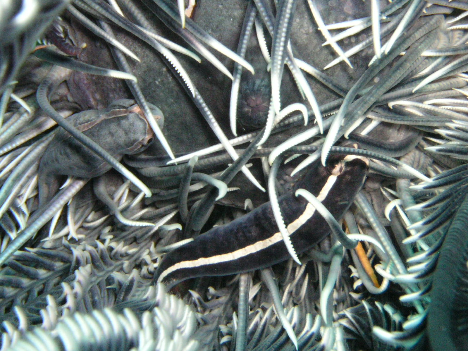 PB092142.JPG