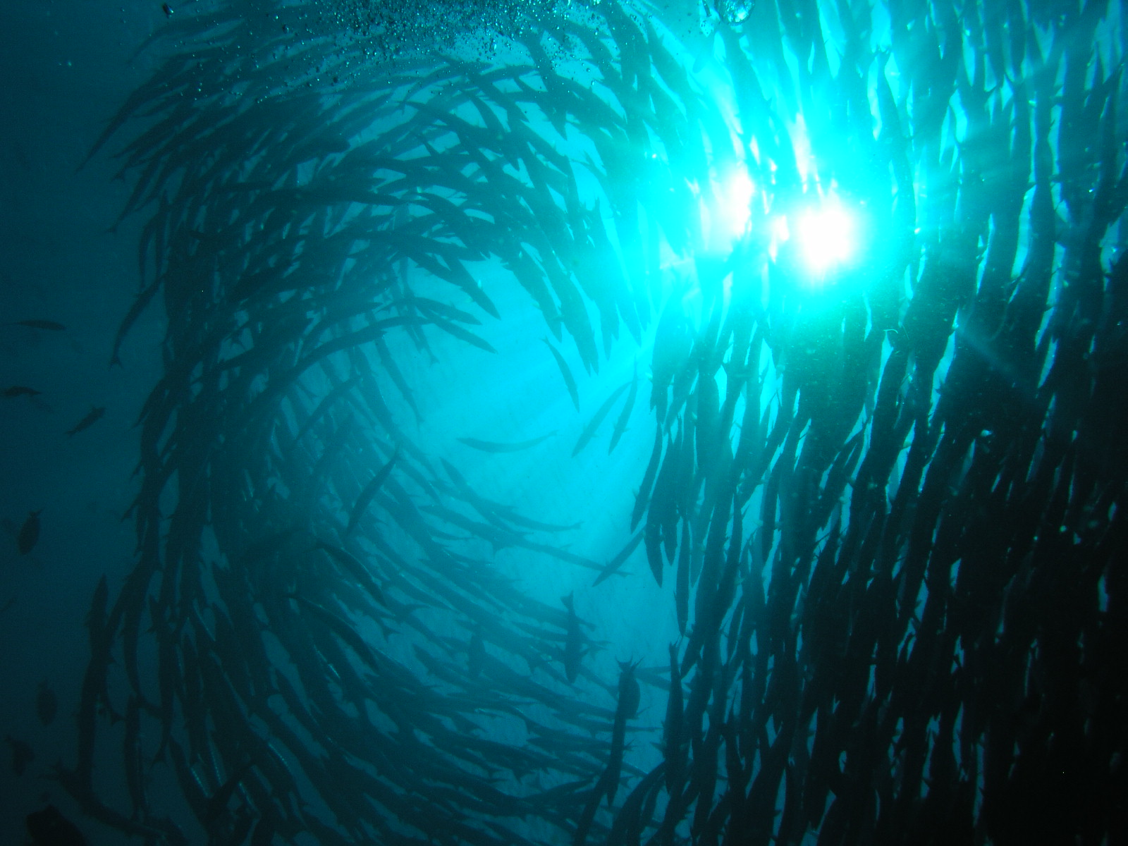 PB021457.JPG