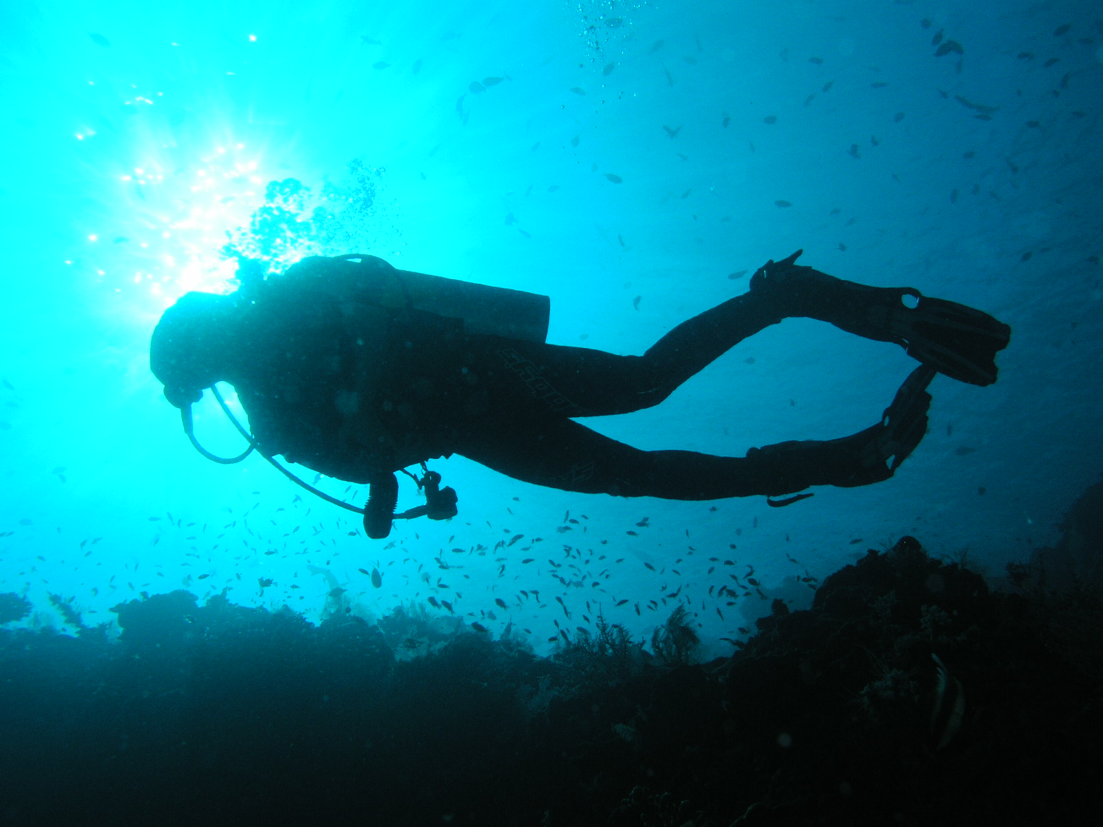 PB021416.JPG