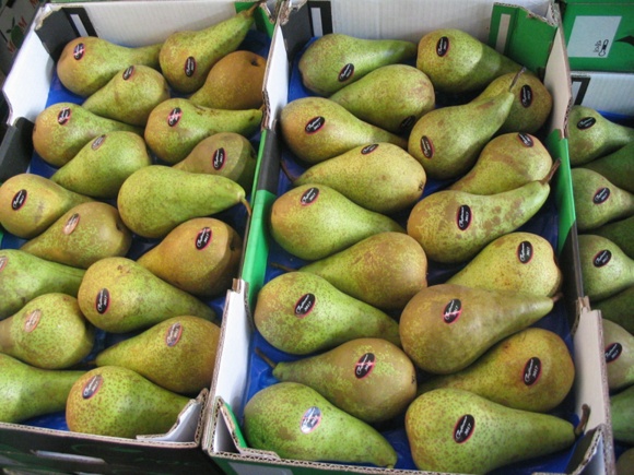 헝지스 시장 배.jpg